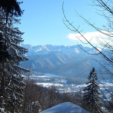 Chata Stacha Zakopane Exterior photo