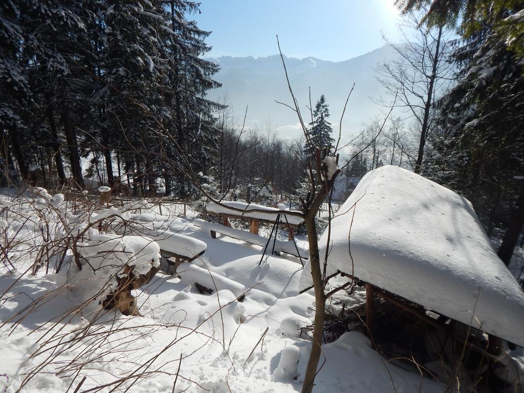 Chata Stacha Zakopane Exterior photo