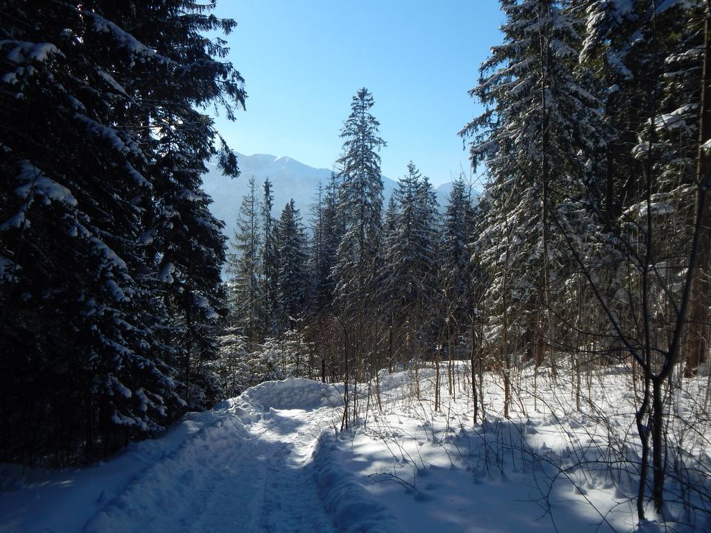 Chata Stacha Zakopane Exterior photo